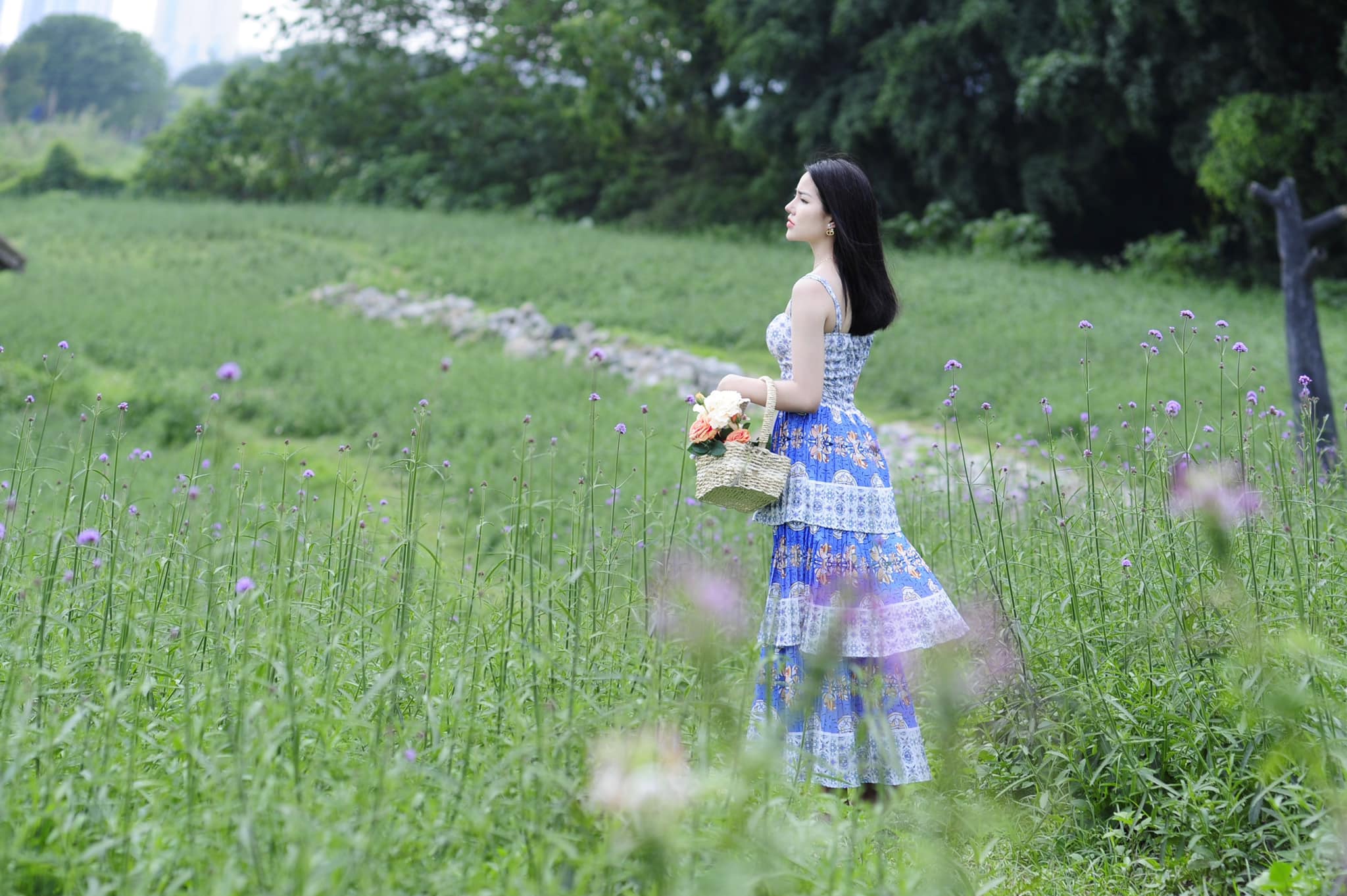 Ánh Rose tiep.lythitiep.9