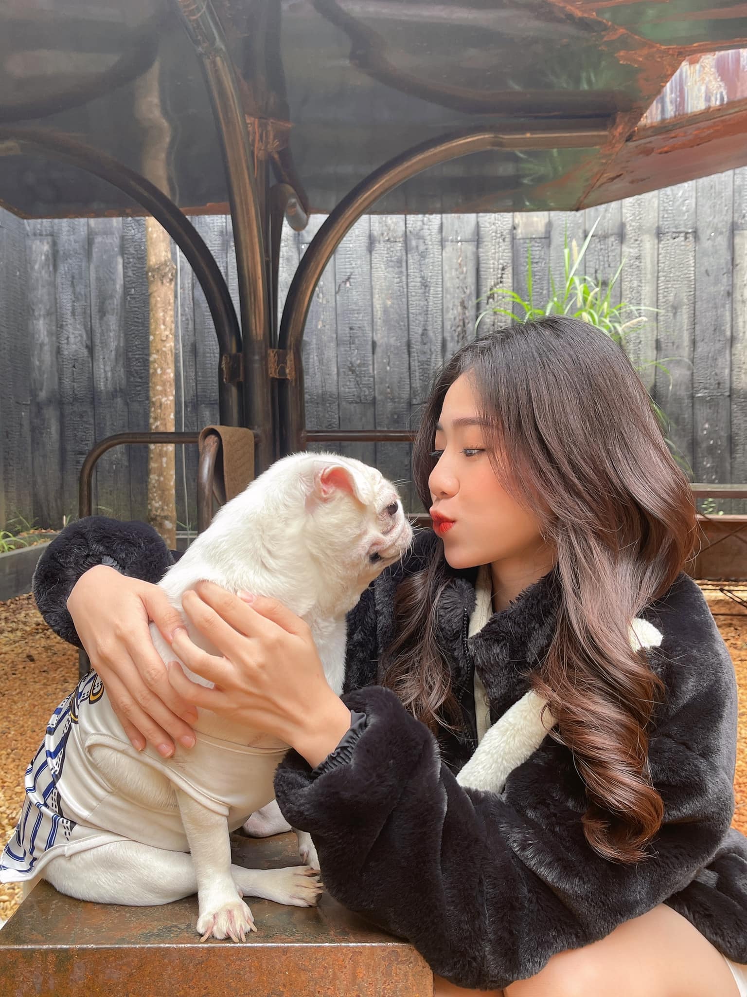 Khánh Linh linhkhanh.nguyen16