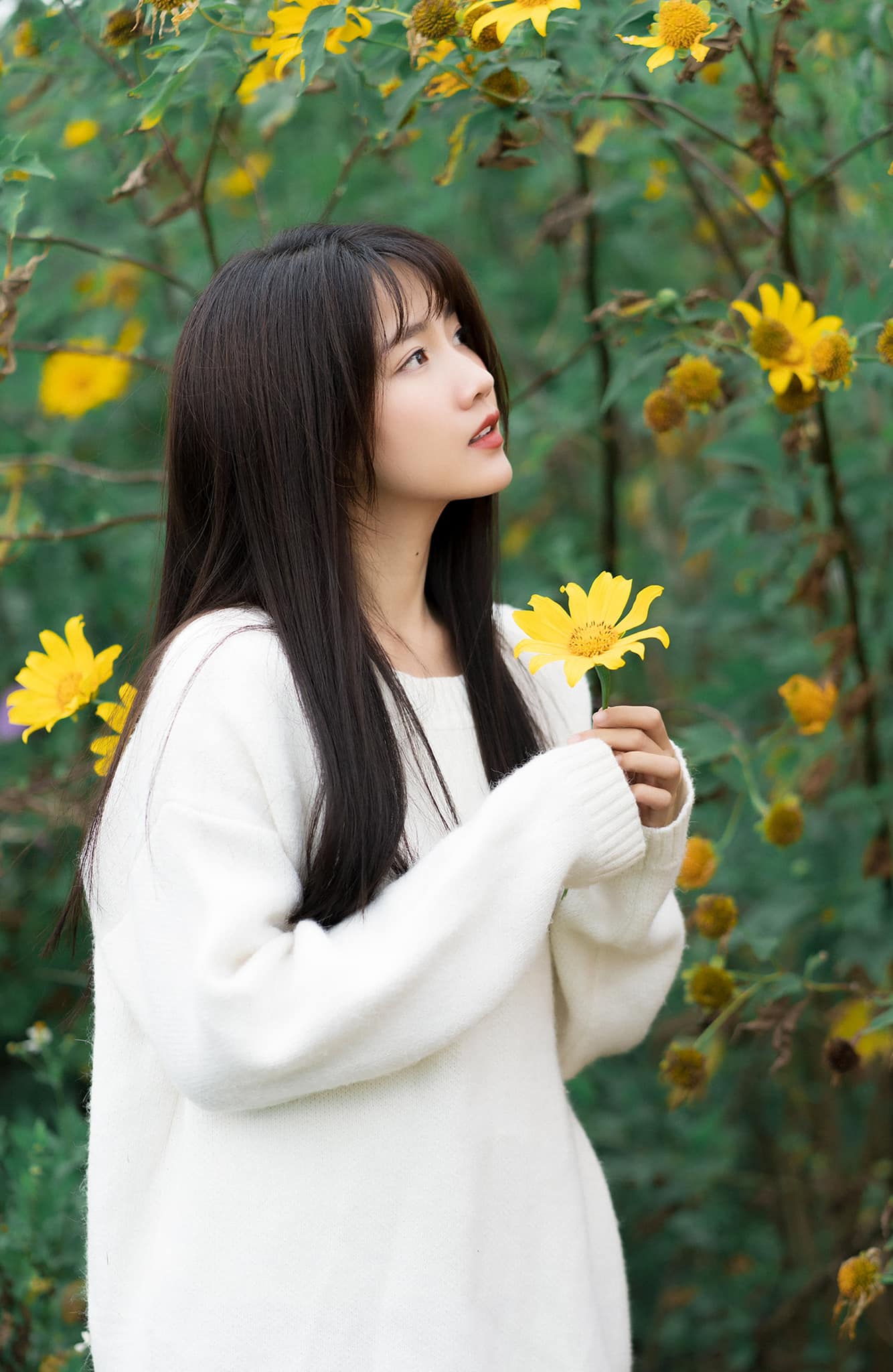 Kiều Trinh Xíu kieutrinhfanpage