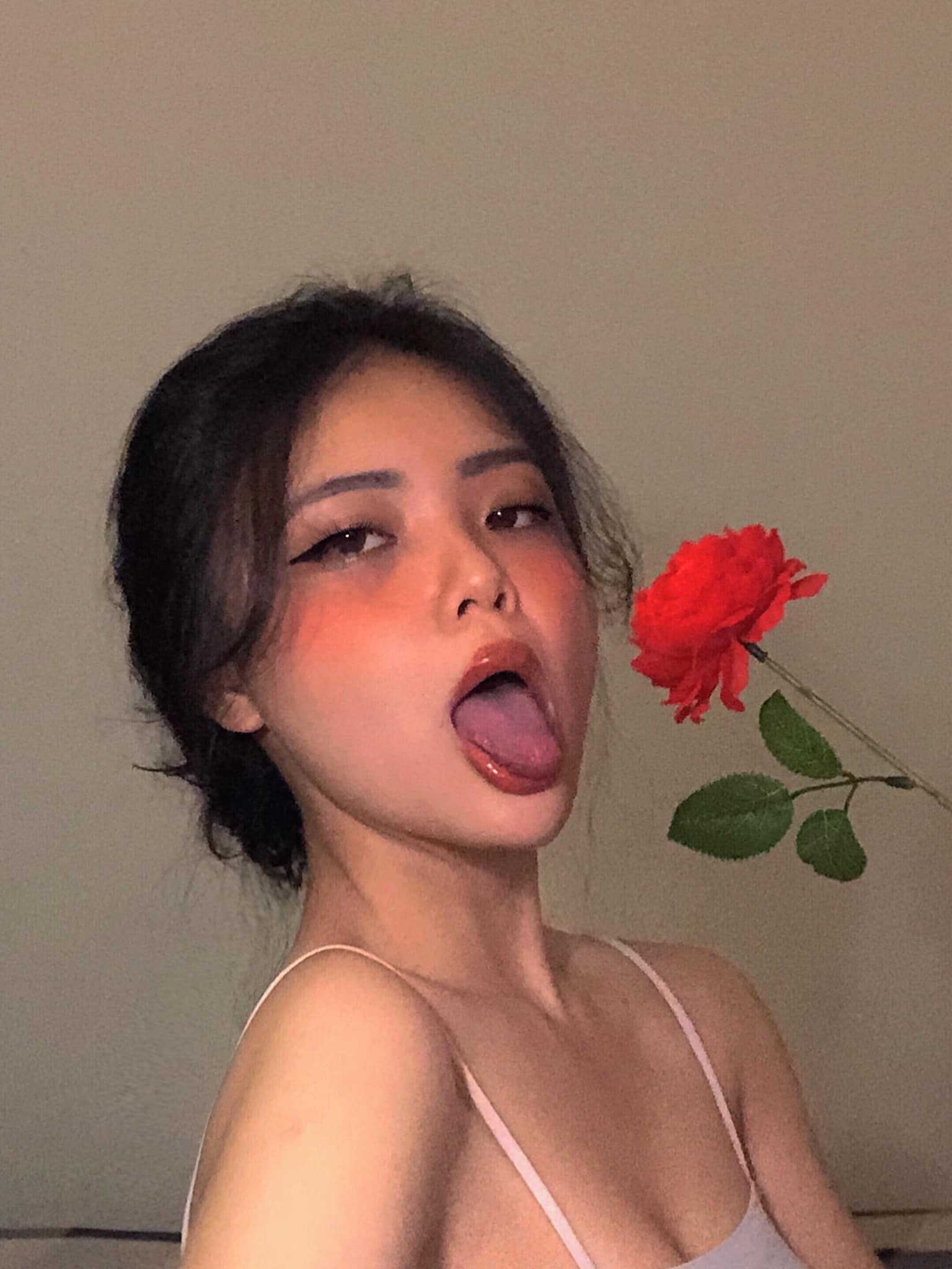 Phạm Nguyễn Hạ Vi harley.pham1701